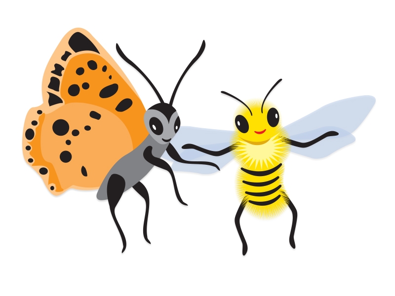 smiling butterfly and bee