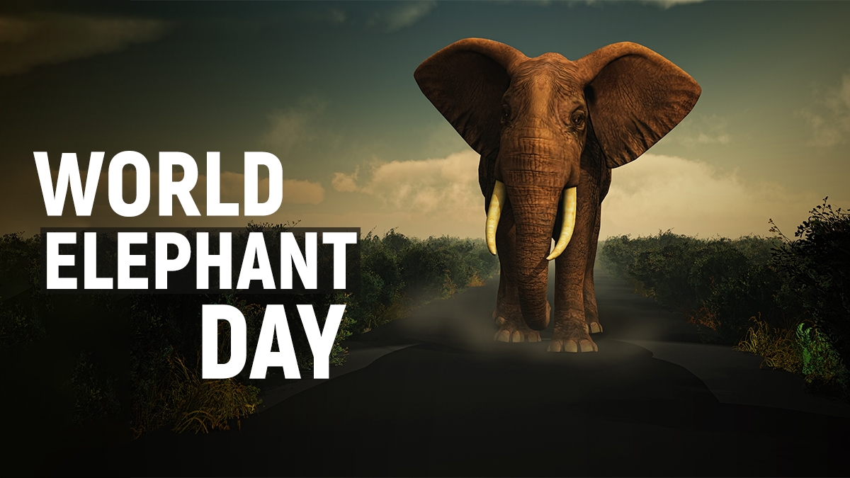 World Elephant Day