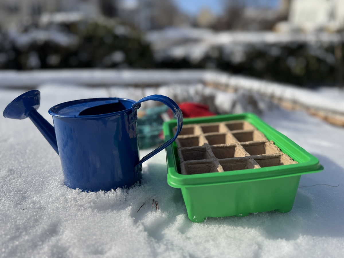 Image of gardening tools in the snowy garden