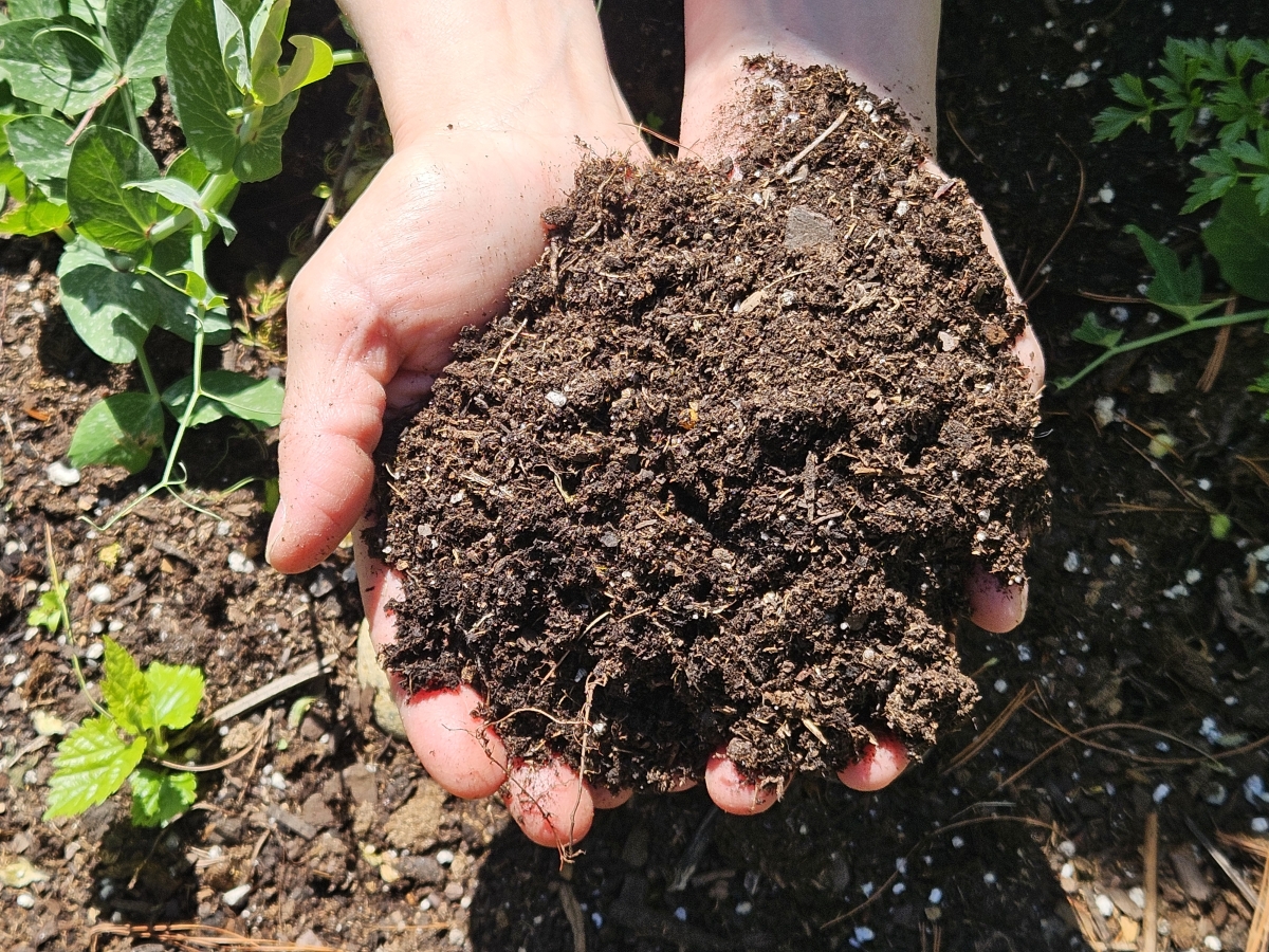 Image of soil in Jackie's hands