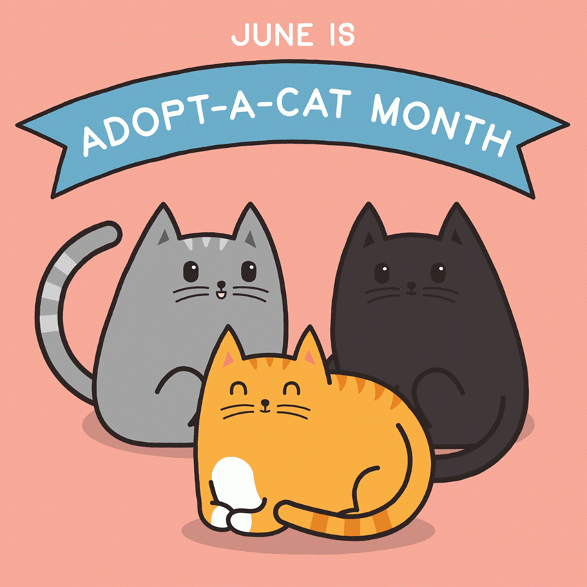 cartoon image of three cats with text "June is Adopt a cat month"