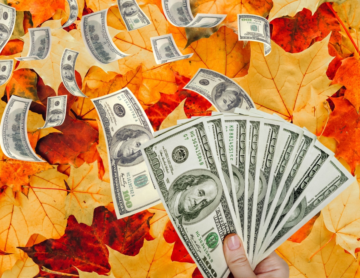 photo of leaves and dollar bills