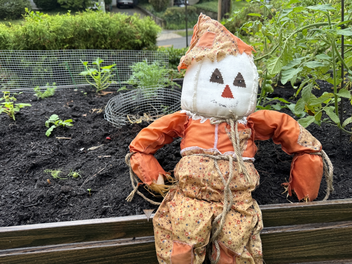 Image of Spooky Pumpkins and Fall Garden