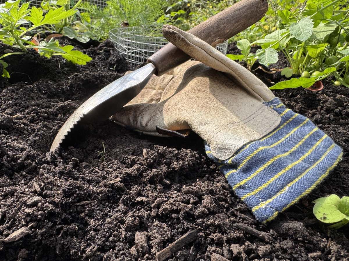 Image of garden shovel and glove 