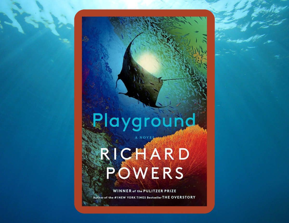The cover for Playground by Richard Powers.