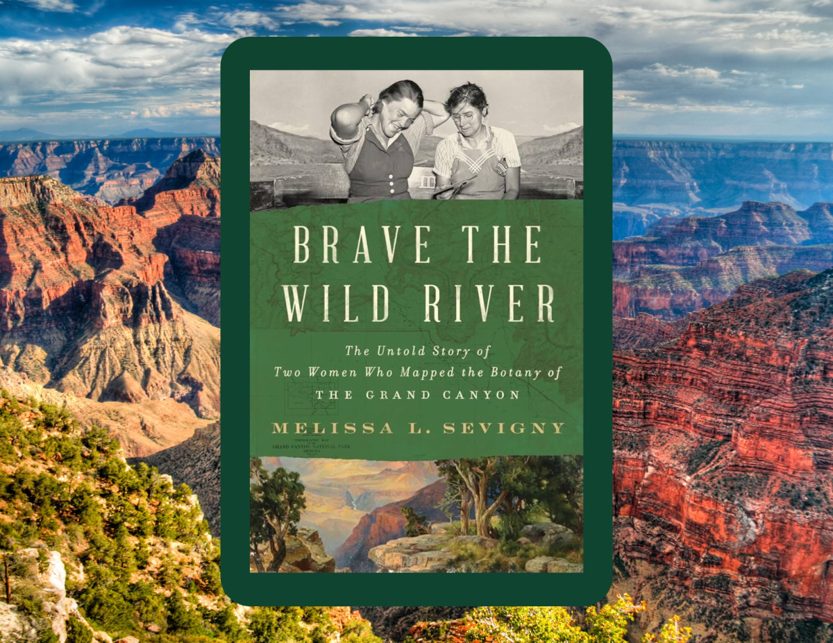 Cover for Brave The Wild River by Melissa L. Sevigny.