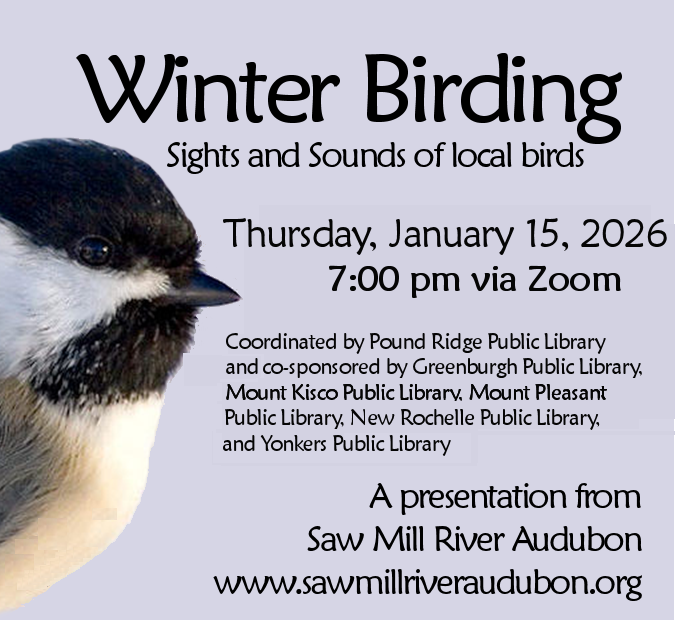 photo of chickadee with information about winter birding program