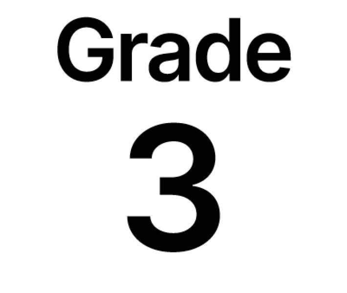 grade 3