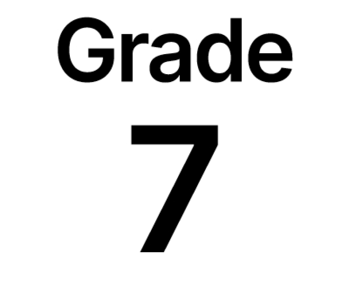 grade 7