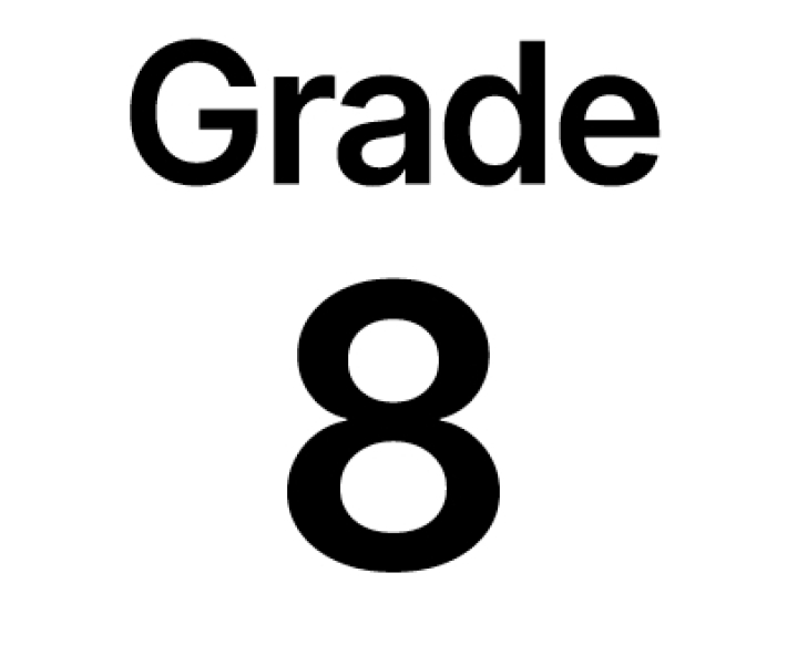 grade 8