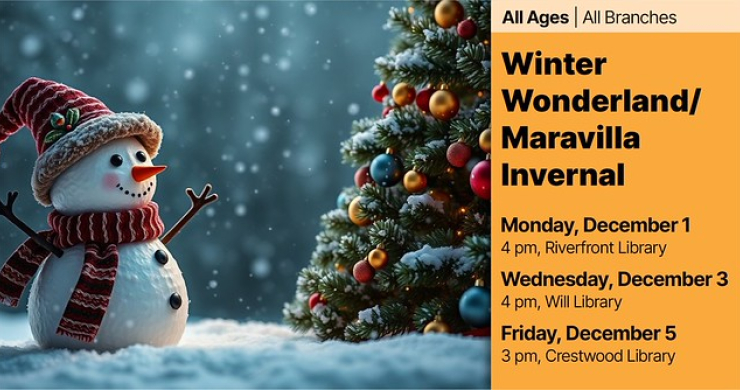 winter wonderland all libraries in dec