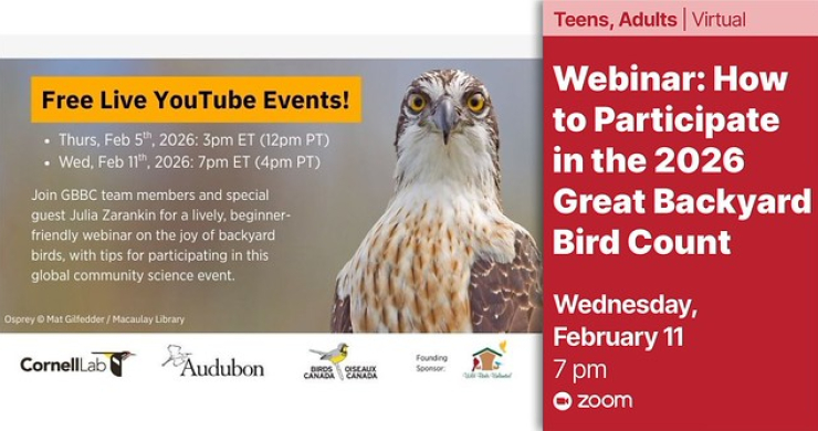 great backyard bird count feb 11 virtual